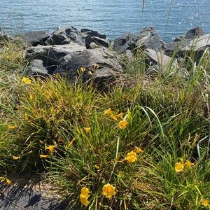 Hello please check out my closet